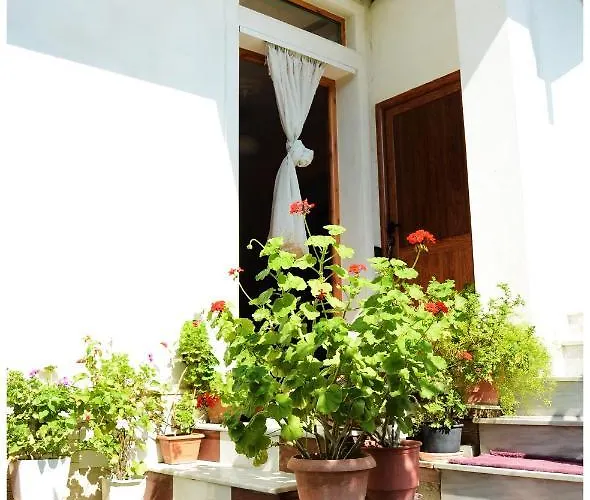 Apartament Demaj *